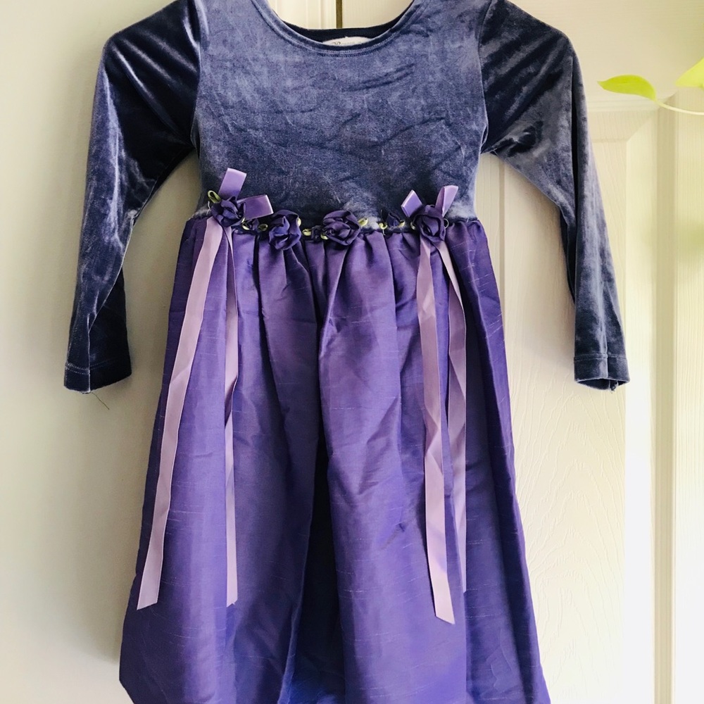 Bonnie Jean Purple Velvet Rose Ribbon Dress 4-6T
